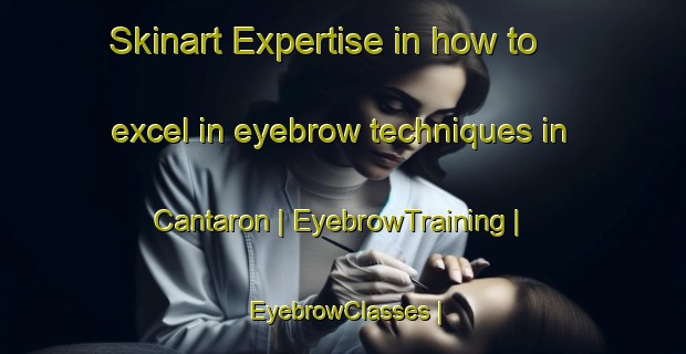 Skinart Expertise in how to excel in eyebrow techniques in Cantaron | EyebrowTraining | EyebrowClasses | SkinartTraining-France
